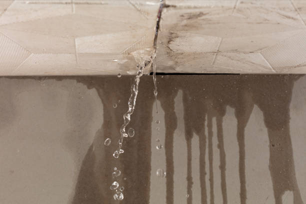 Professional Flood Damage Cleanup technician working in Plantersville, MS